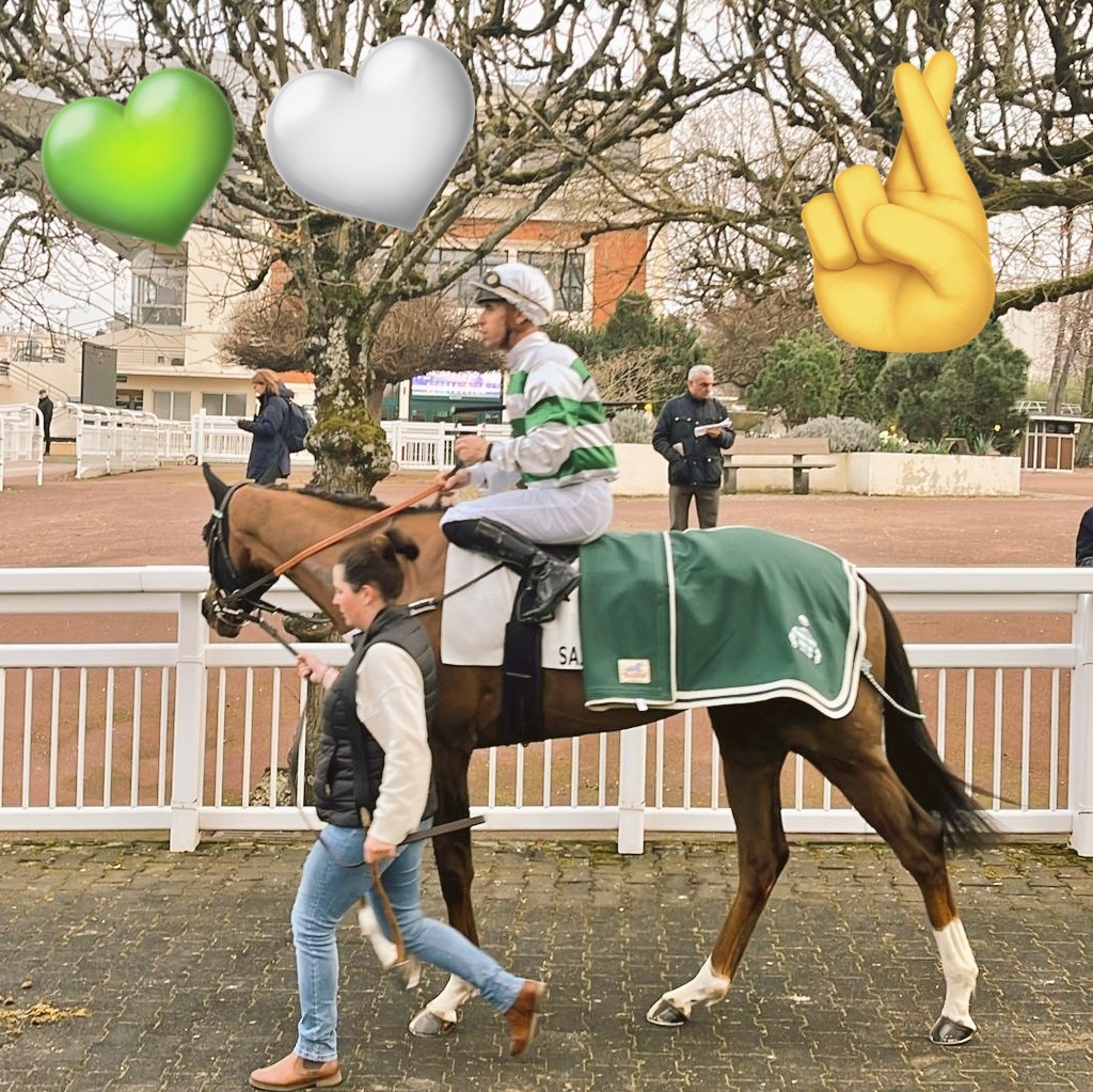Couetil Racing Club (@couetracingclub) on Twitter photo Aujourd'hui à Senonnes, *Reine du Risk* sera raccourcie et découvrira les 2100m, montée par <a href="/veron39958955/">veron</a>
#teamCouetil
<a href="/CouetRacingClub/">Couetil Racing Club</a> <a href="/ACouetil/">Alain Couetil</a> <a href="/AurelB14/">Aurel B</a> Aujourd'hui à Senonnes, *Reine du Risk* sera raccourcie et découvrira les 2100m, montée par <a href="/veron39958955/">veron</a>
#teamCouetil
<a href="/CouetRacingClub/">Couetil Racing Club</a> <a href="/ACouetil/">Alain Couetil</a> <a href="/AurelB14/">Aurel B</a>