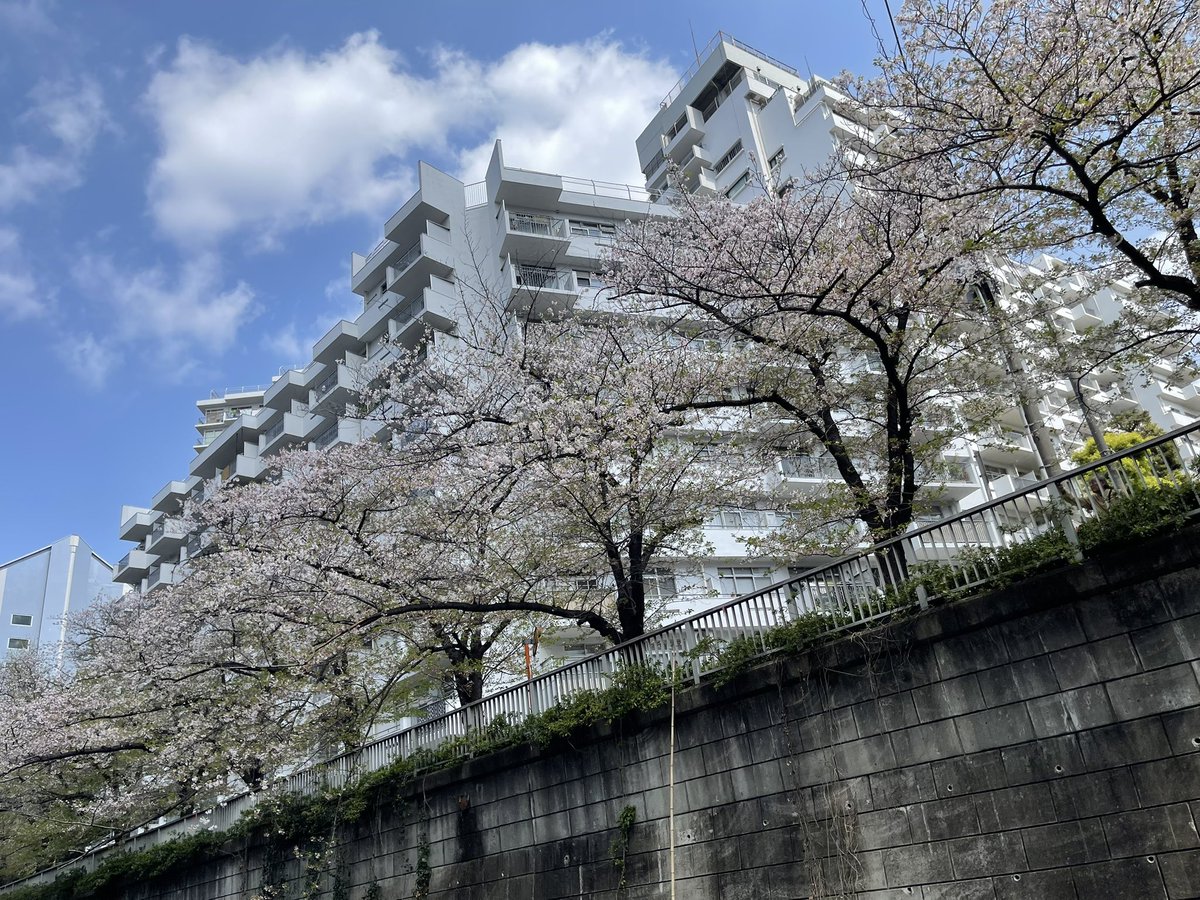 藍野 勇太 tweet media