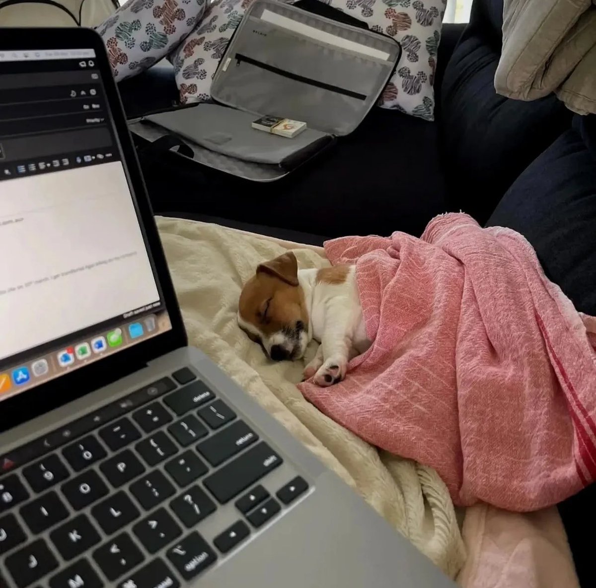 kkaedoong2's tweet photo. 시험공부해야하는데
집중력이 너무 떨어져가지고…………. https://t.co/bO2hEWSvbB