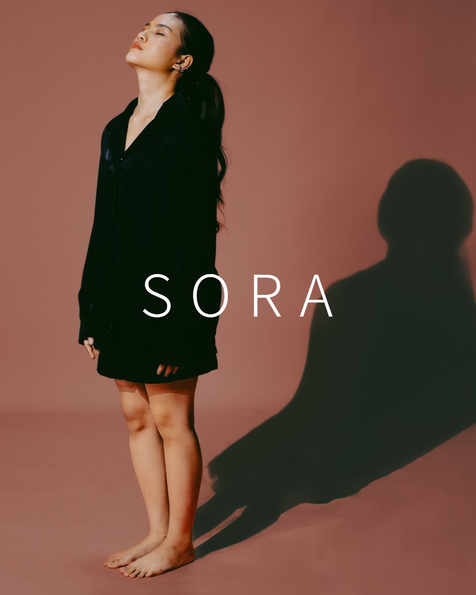 Sora tweet media