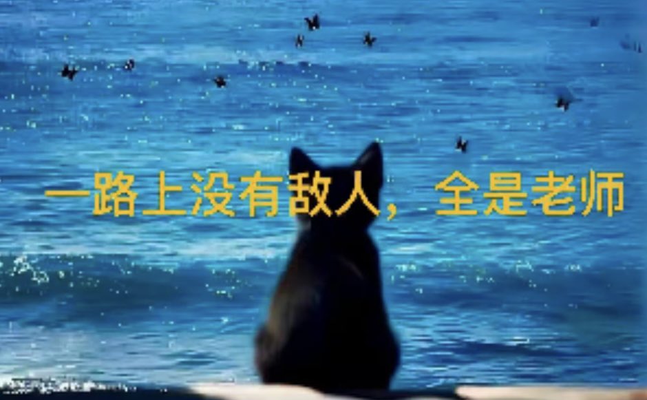 子时 tweet media