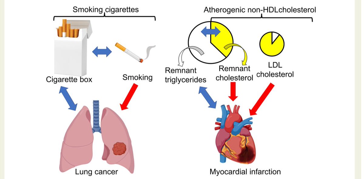 Alfonso Valle (@vallealfonso) on Twitter photo 🔴Plasma triglycerides are an
important causal factor and therapeutic target for atherosclerotic cardiovascular disease 
@EurHeartJ #CardioTwitter #LipidScience #MedEd
✅ PRO view:
TG-rich lipoproteins (TRLs) are more than just TG carriers—they’re cholesterol-loaded, 🔴Plasma triglycerides are an
important causal factor and therapeutic target for atherosclerotic cardiovascular disease 
@EurHeartJ #CardioTwitter #LipidScience #MedEd
✅ PRO view:
TG-rich lipoproteins (TRLs) are more than just TG carriers—they’re cholesterol-loaded,