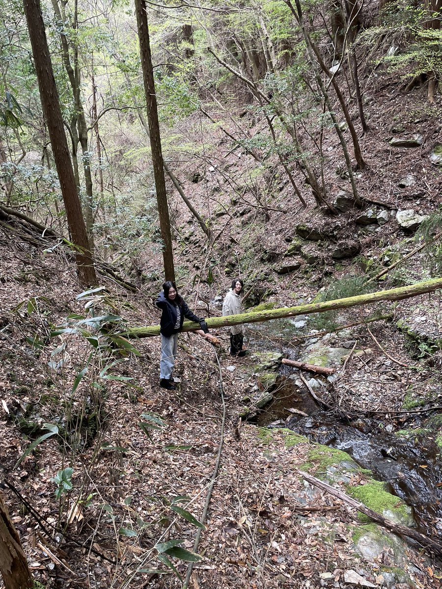 LocalDAO418's tweet photo. 片道３時間かけて博多に向かった堀さんの帰りを待つ間、気分転換も兼ねて裏山の水源地へ。沢から引いてる山水の点検をしつつ沢登りをしてざわつく気持ちを落ち着かせます。ディープな自然がすぐそこにある環境は最高…！
#NFT #神楽 #3Dスキャン #localdao #椎葉村 #川の口  #mocopi #femtobolt https://t.co/5LKsvSoqgt