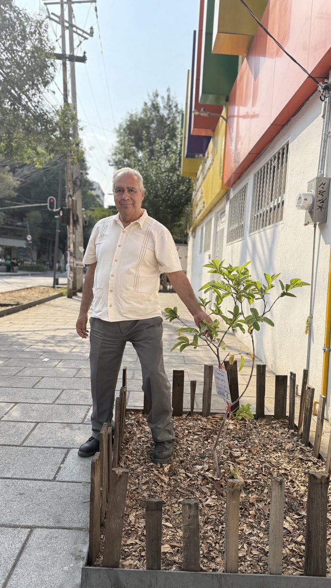 #NS076EB01

ALFREDITO EL GUAYABO

Este árbol ya forma parte de la red de árboles apadrinados de Naturaleza Sostenible.

Estamos construyendo la mayor base de datos pública de México sobre árboles vivos y cuidados por la comunidad.

#SembrarÁrbolesNoEsDelito
#JusticiaParaAlfredo