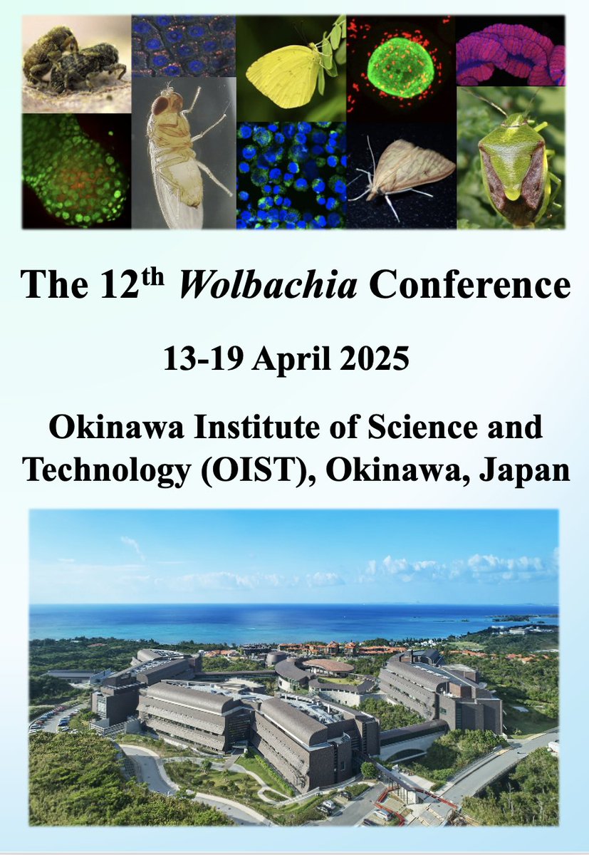 fkttkm's tweet image. The Wolbachia Conference is ready for launching tomorrow! 
#Wolbachia #Symbiosis #Okinawa #OIST