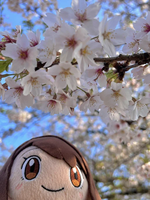 ユぬ、はるだね 