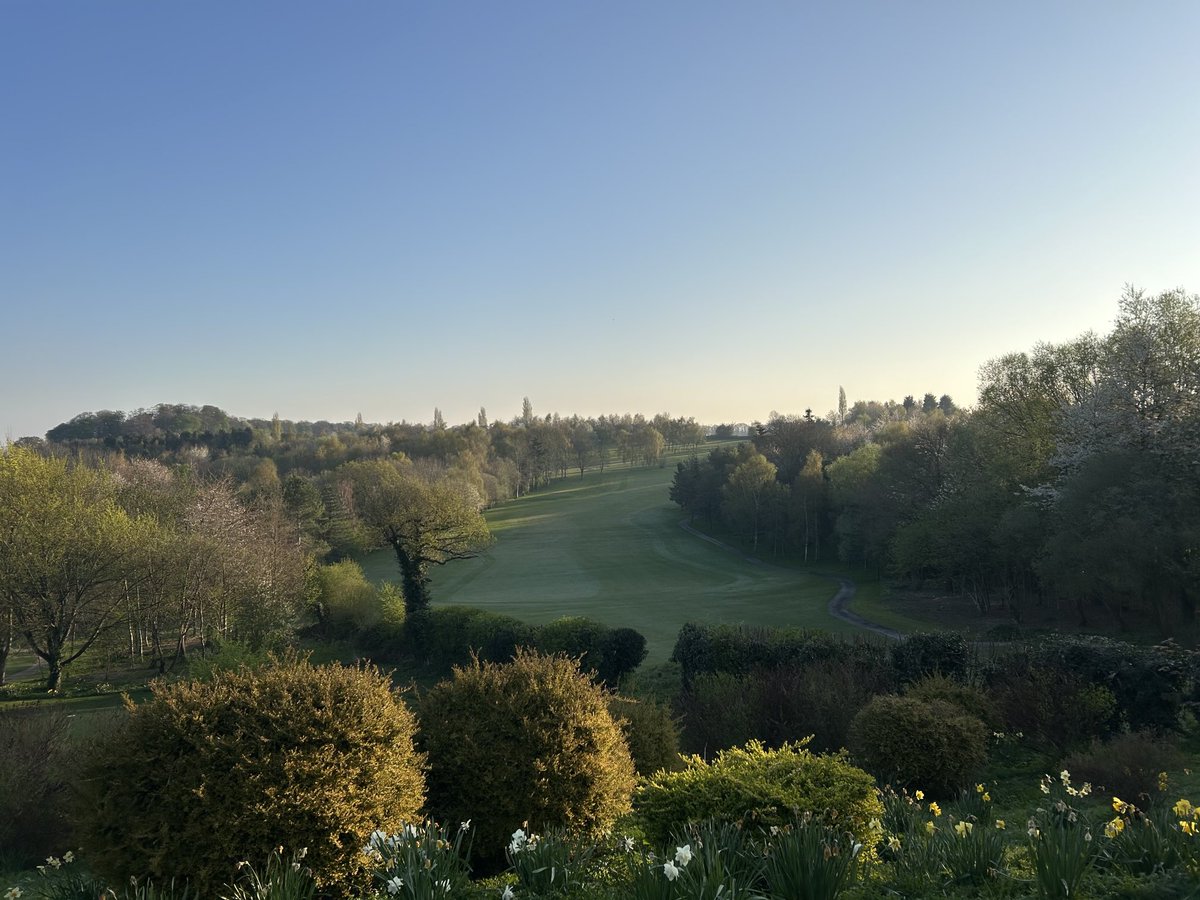 Adam flaherty tweet media