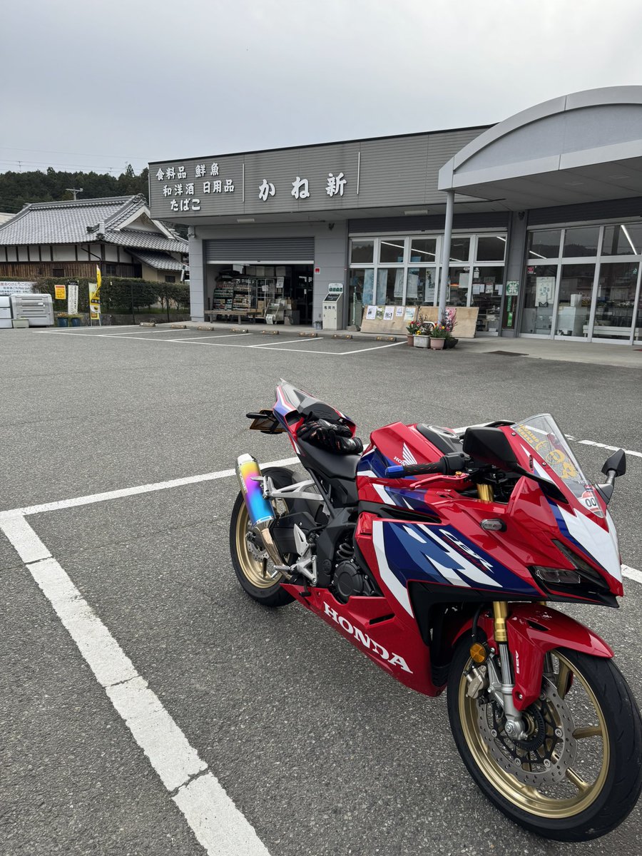 追いつけなかったッピ