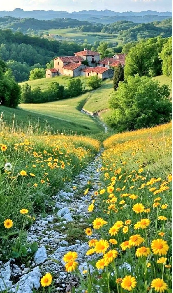 Einen wunderschönen guten Morgen 🌻☕🍀🐞🌸