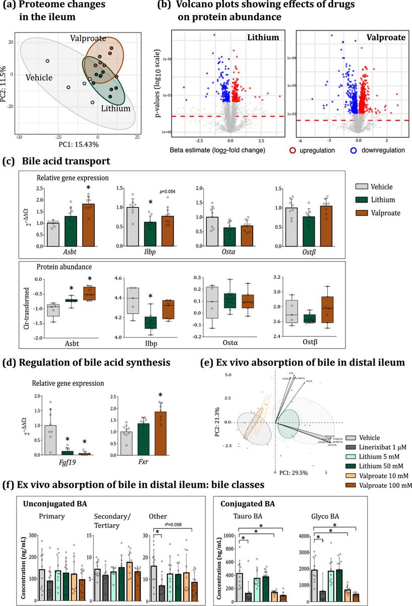 Marcus Böhme (@boehmemarcus) on Twitter photo The mood stabilizers lithium and valproate disrupt hepatic and intestinal farnesoid X receptor signalling and increase bile synthesis in the rat - new from <a href="/CussottoSofia/">Sofia Cussotto</a> et al. <a href="/TedDinan/">Timothy Dinan</a> <a href="/jfcryan/">John F. Cryan</a>
physoc.onlinelibrary.wiley.com/doi/10.1113/EP… The mood stabilizers lithium and valproate disrupt hepatic and intestinal farnesoid X receptor signalling and increase bile synthesis in the rat - new from <a href="/CussottoSofia/">Sofia Cussotto</a> et al. <a href="/TedDinan/">Timothy Dinan</a> <a href="/jfcryan/">John F. Cryan</a>
physoc.onlinelibrary.wiley.com/doi/10.1113/EP…