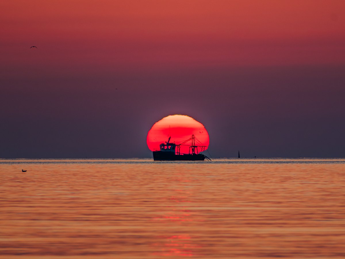 Sryan Bruen Photography tweet media