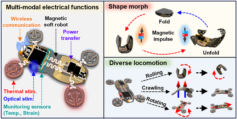 152. Wireless, Multifunctional System-Integrated Programmable Soft Robot
Sungkeun Han, Jeong-Woong Shin, Joong Hoon Lee, Bowen Li, Gwan-Jin Ko, Tae-Min Jang, Ankan Dutta, Won Bae Han, Seung Min Yang, Dong-Je Kim, Heeseok Kang, Jun Hyeon Lim, Chan-Hwi Eom, So Jeong Choi, Huanyu