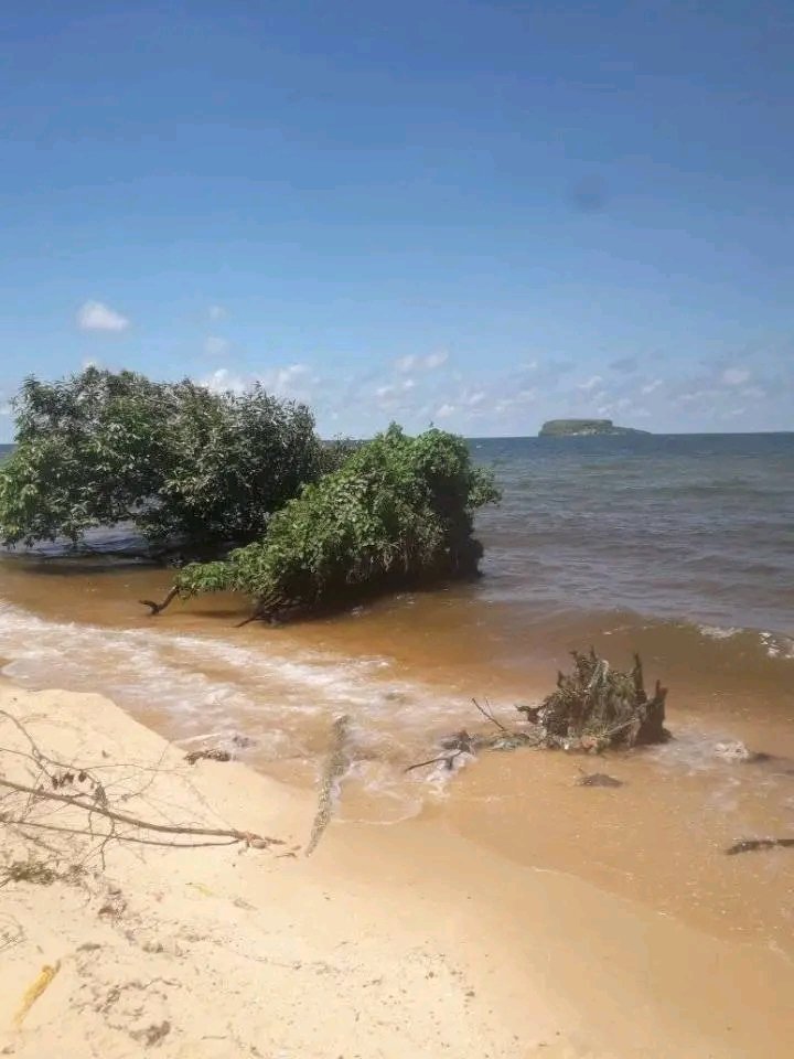 uydaf's tweet photo. Beautiful views Msila island, bukoba kagera Tanzania https://t.co/HHxRsndCXA
