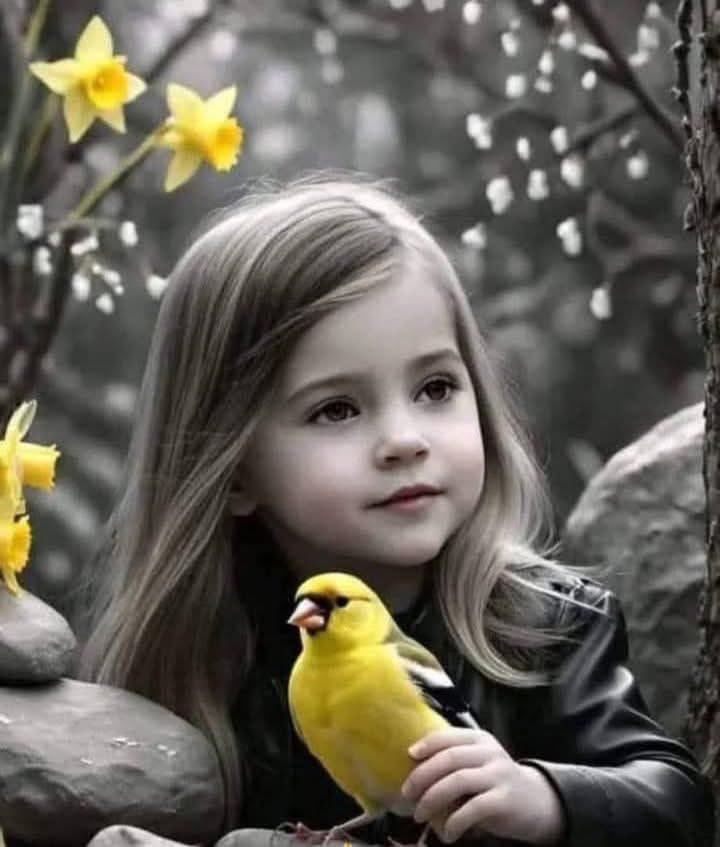 Tala🌸 tweet media