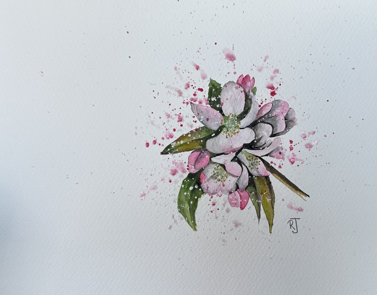 Don’t look too closely 🫣

The blossom of the crabapple tree which lines our lane - a beautiful reminder of the orchards which used to surround us. In Autumn, hops tell their story of the past too!