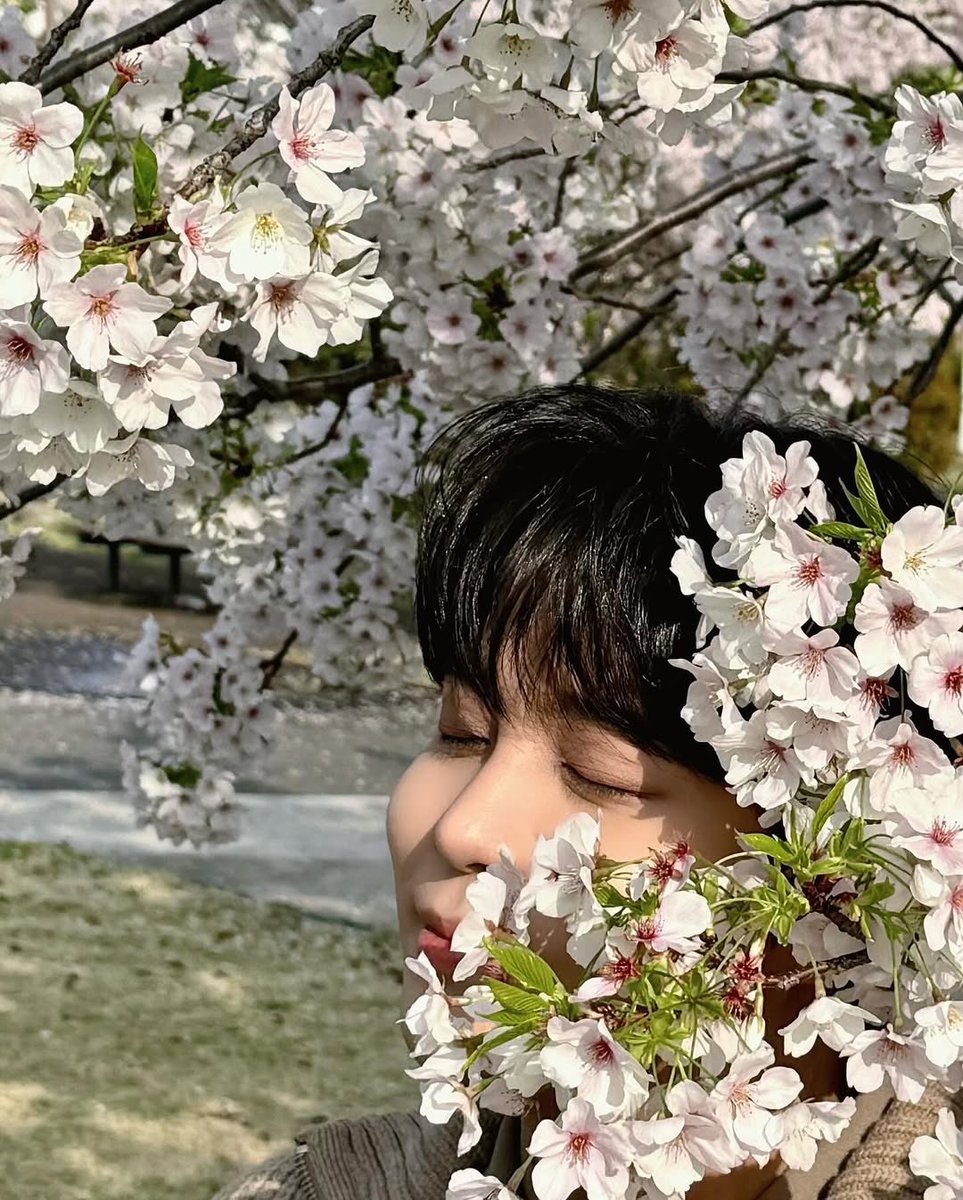 imfinal_duc's tweet photo. 🐻🌸 https://t.co/3wO55nskaa