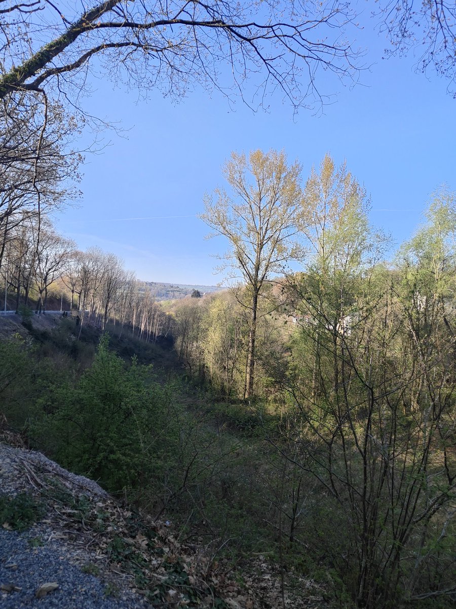 Dave76XXX's tweet photo. Hallo Ardennen....#andrimont #dison #wanderlust #hiking https://t.co/idxXZOxngd