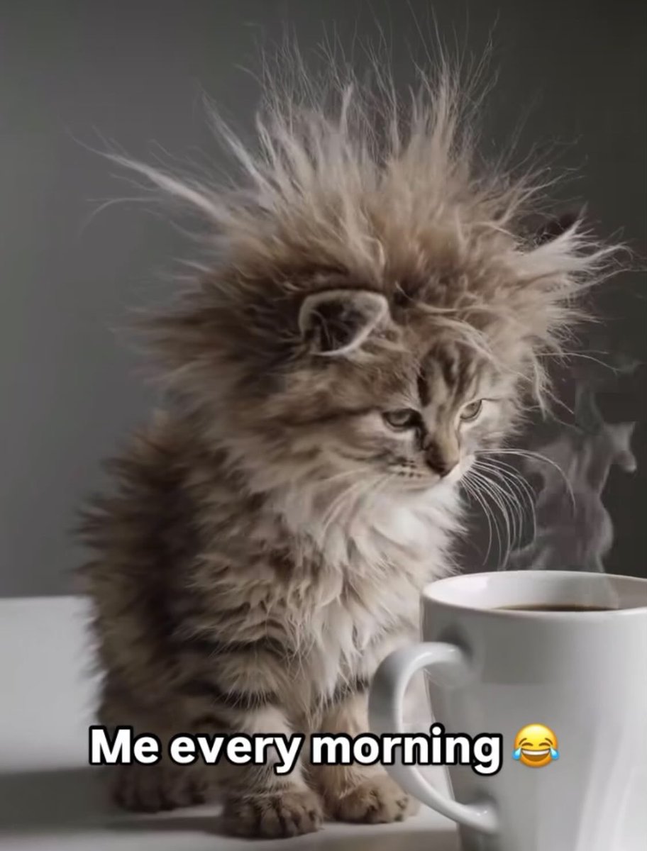 TOP_MO_'s tweet photo. Me every morning https://t.co/RufCowGyZA