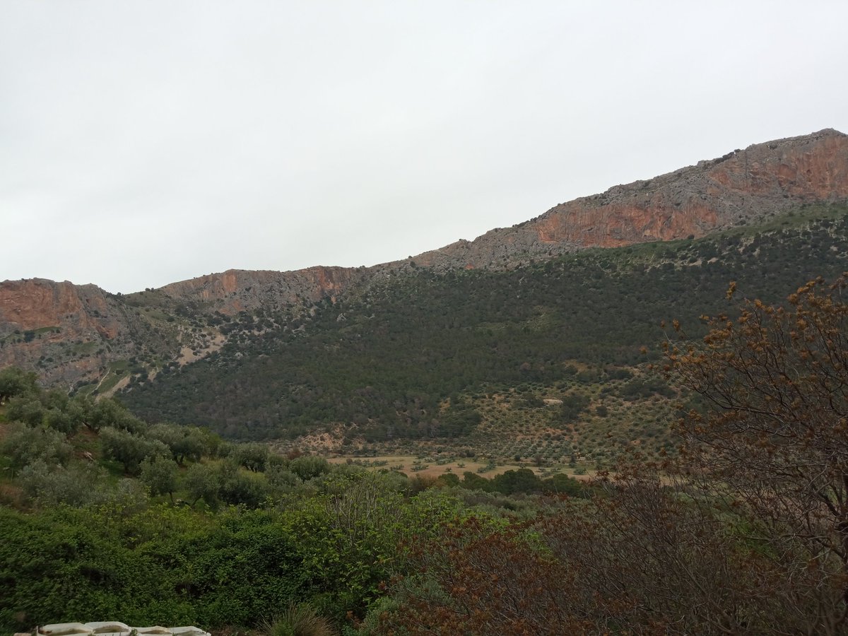 Regresa la lluvia de nuevo. Pese a todo, sigue siendo muy necesaria aún, para que la agricultura y la ganadería pueda tirar adelante en los próximos meses. ⛈️👩🏼‍🌾
#otiñar #haciendasantacristina #jaen #oleoturismo #olivartradicional #pastoreo #lluvia #jovenesagricultores #mundorural