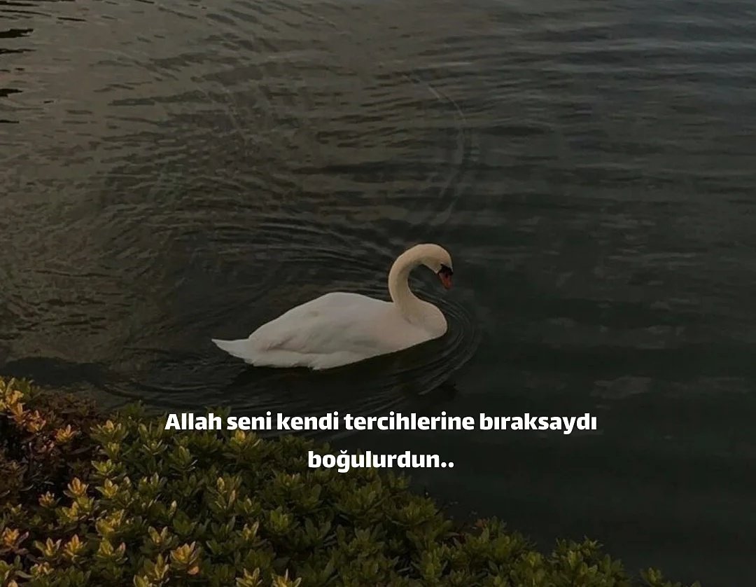 Bir süre sonra anlayacaksın ki;