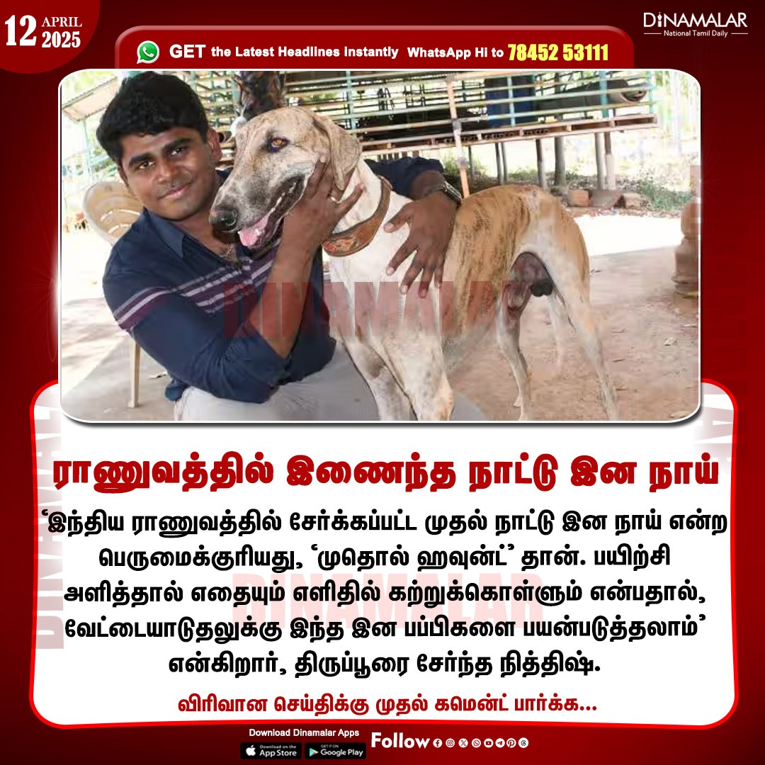 dinamalarweb's tweet photo. ராணுவத்தில் இணைந்த நாட்டு இன நாய்
#Chellame| #Army| #PetsLover| #PetsTips| #Dogs
https://t.co/y4W3uzOopr https://t.co/ENhCSXQpUx
