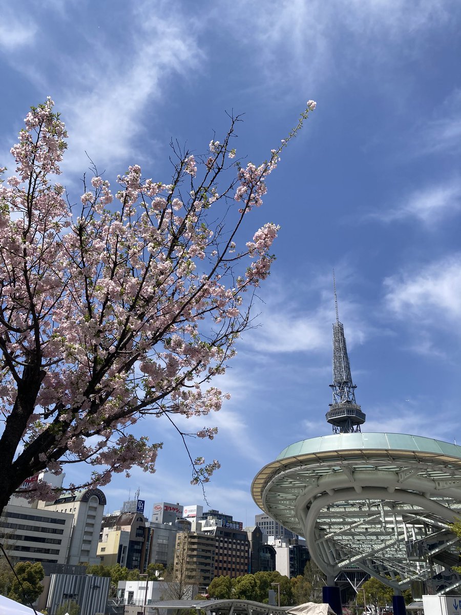 ugachanblog's tweet image. こんにちは
明日天気が悪そうなので
栄に出かけしました
葉桜でしたが風情があって綺麗😊
服装も難しい季節
体温調整てきる1枚あるといいですね
素敵な週末をお過ごしください
帰ったら簿記勉に取り組みます
アウトプットで理解力を確認し
再度ふくしままさゆき先生の動画
インプットを繰り返します