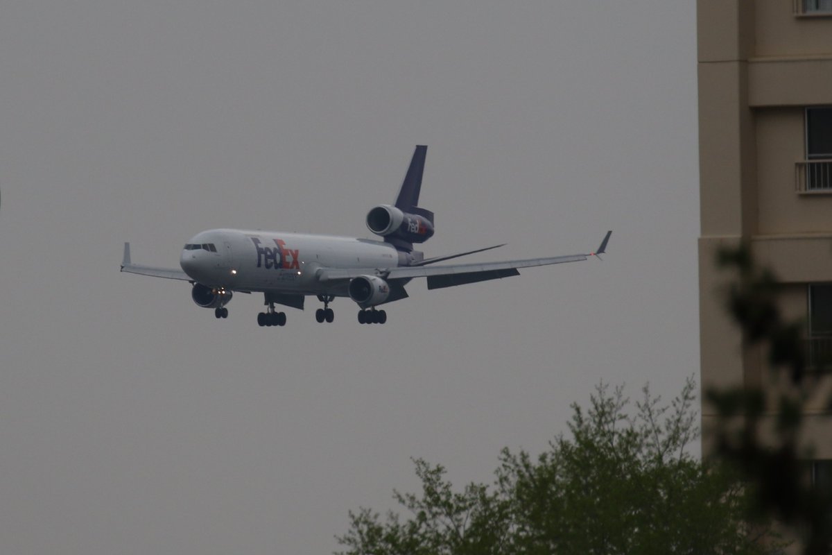 yokotamusen's tweet image. 横田基地　R/W18↘
FedEx MD-11F(N617FE)
#横田基地
#rjty
#fedexexpress