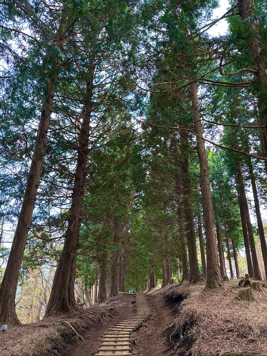 久しぶりの塔ノ岳。
ポカポカ陽気☀️