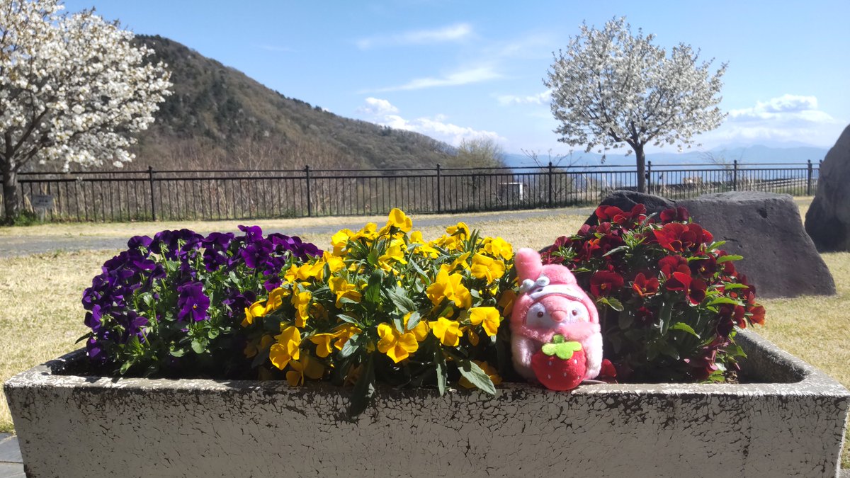 お花いっぱいでえらい❗