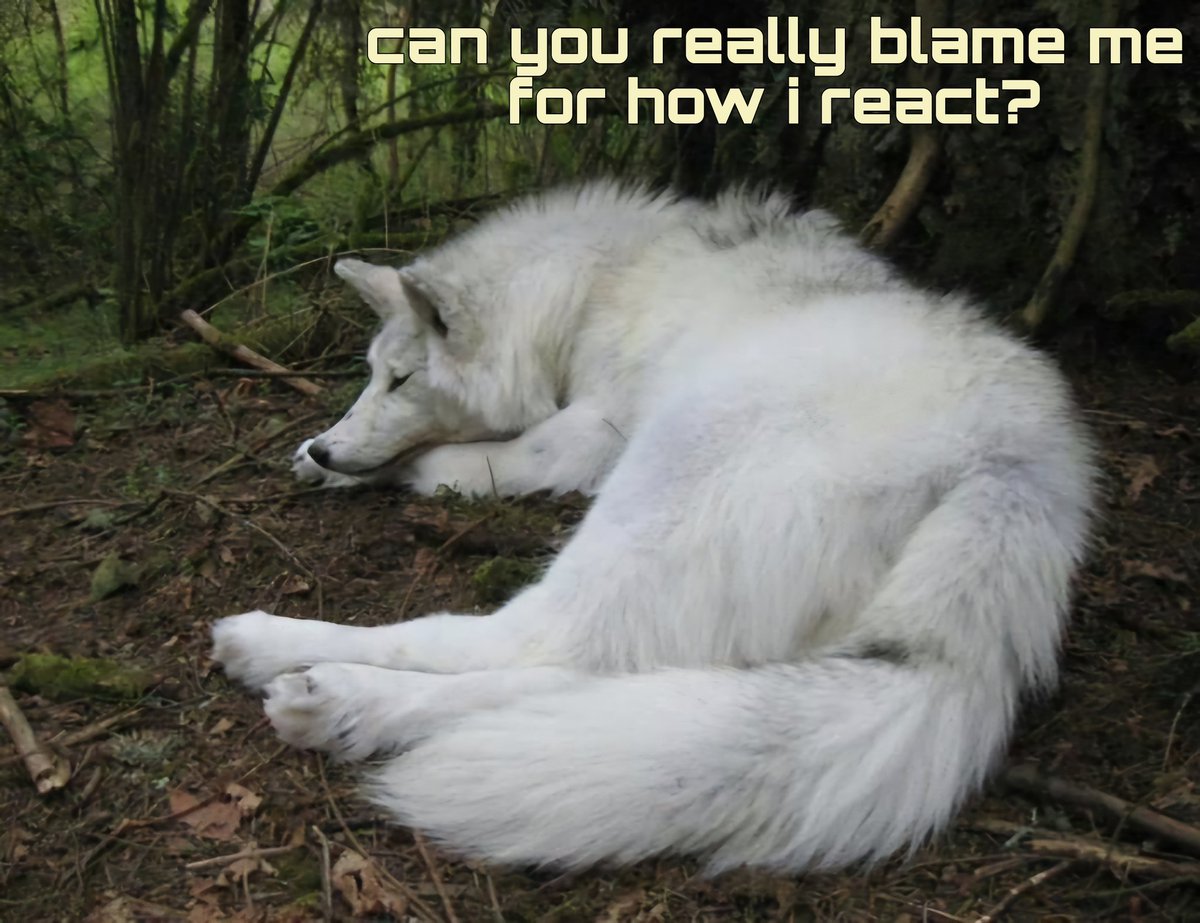 caninepoetry_'s tweet image. 