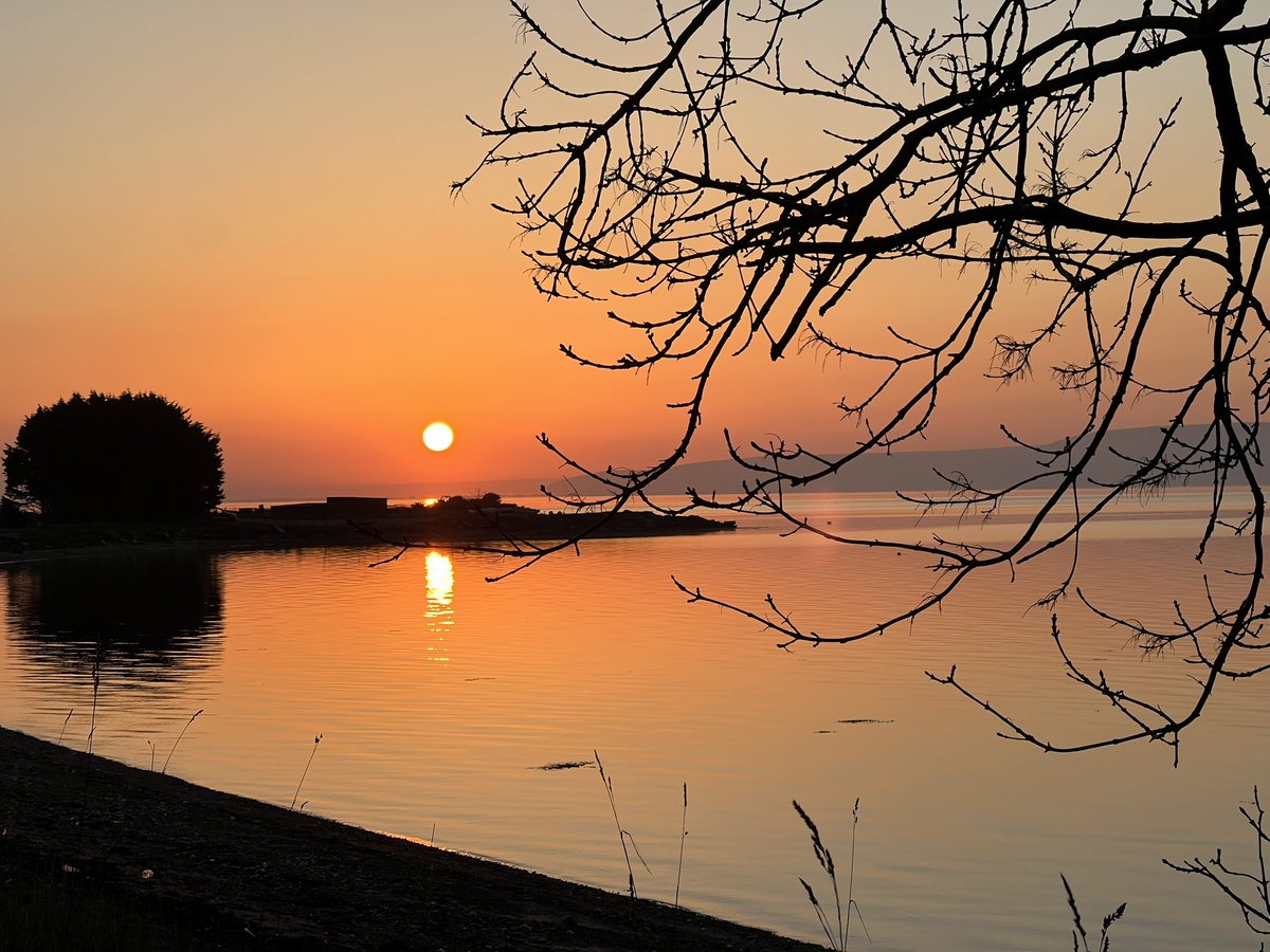 John Mc Candless tweet media