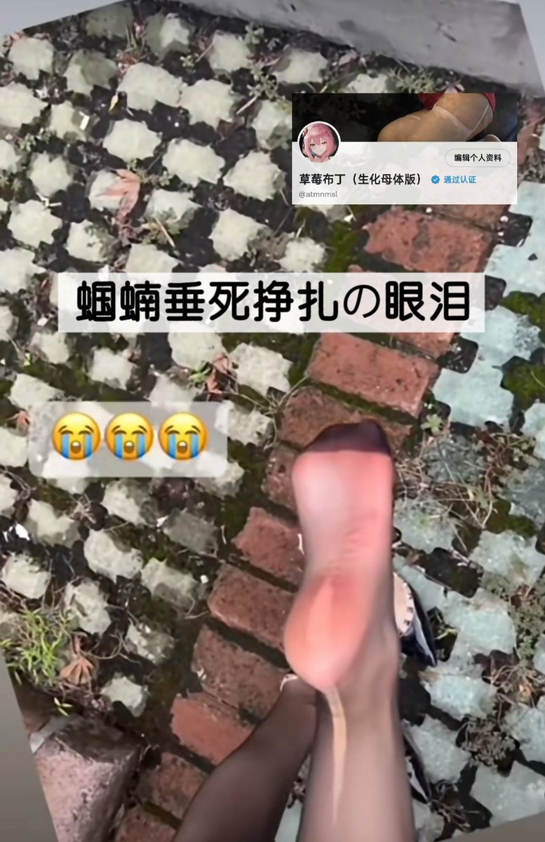 atmnmsl's tweet photo. 即日起莓国将对低等贱民收取更多关税🖤
所有上贡给莓莓大人的礼物必须支付至少10％的额外冤种税🖤并针对那些贡瘾最严重的低智力人群施加更为严苛的税率
其中，倒贴母王八将面临34％的关税，蝈蝻提款机则被增收46％
这一举措可使莓莓大人无理由收割冤种更多贡金🖤
“反正你们最后也会谢谢我的”——莓莓大人 https://t.co/sqpqkCBSuv