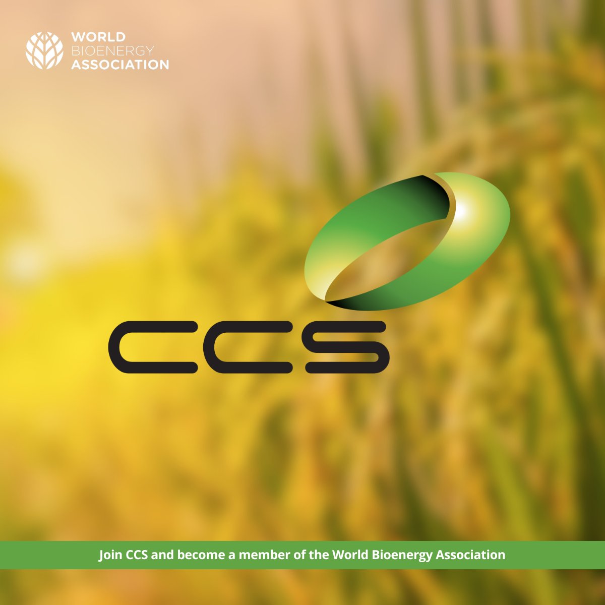 World Bioenergy Association (WBA) (@world_bioenergy) on Twitter photo š¤Weāre excited to welcomeĀ CCS as a new member Ā <a href="/World_Bioenergy/">World Bioenergy Association (WBA)</a>! š± CCS is dedicated to advancing sustainable development throughĀ research and consulting,Ā environmental protection, andĀ collaborative community initiatives.
š Find out more at ccs.org.vn š¤Weāre excited to welcomeĀ CCS as a new member Ā <a href="/World_Bioenergy/">World Bioenergy Association (WBA)</a>! š± CCS is dedicated to advancing sustainable development throughĀ research and consulting,Ā environmental protection, andĀ collaborative community initiatives.
š Find out more at ccs.org.vn