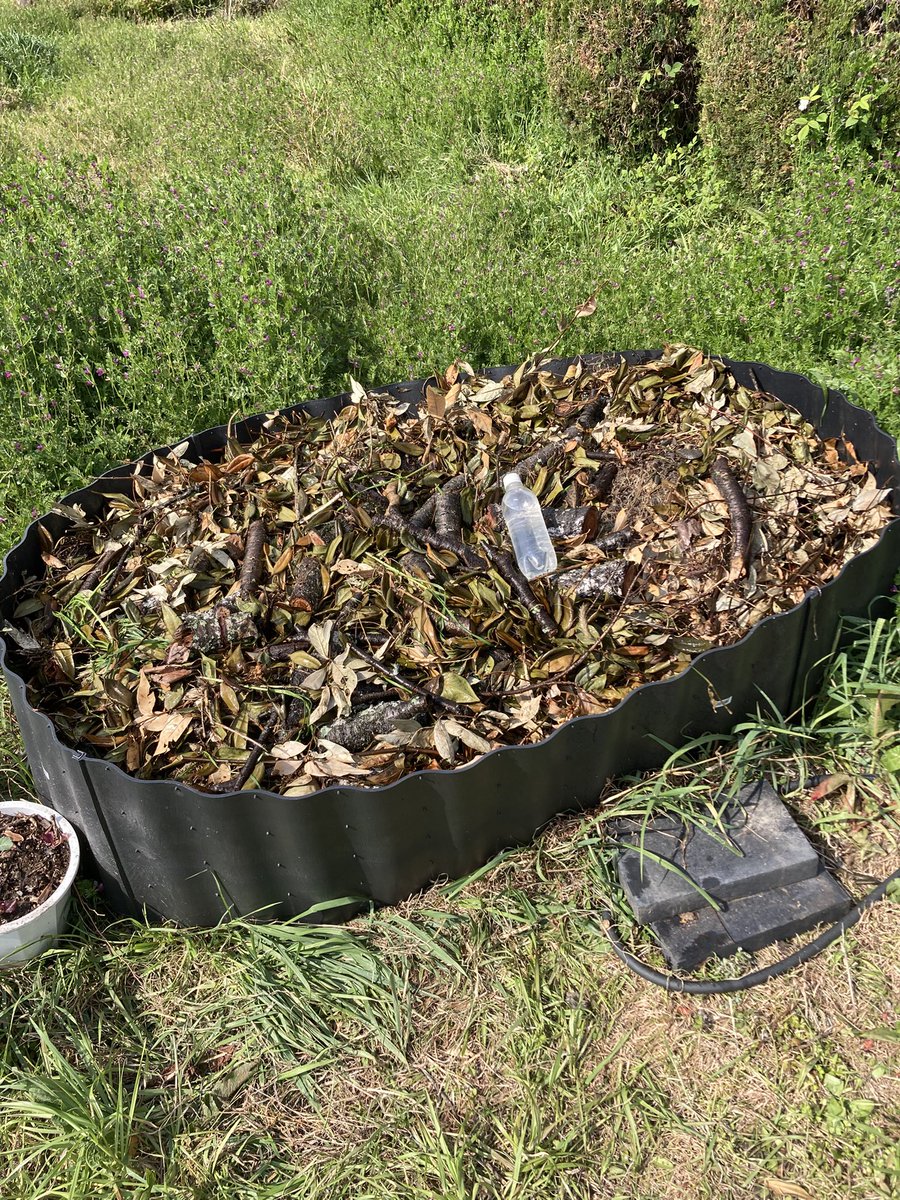 FishingOneColor's tweet image. 畑の木を伐採し、
草を刈り、
牛糞堆肥を入れてレイズドベッドの完成。
間伐材には糸状菌が付いているので、
上手く行けば、追加肥料無しで５年間
野菜が作れるはず。