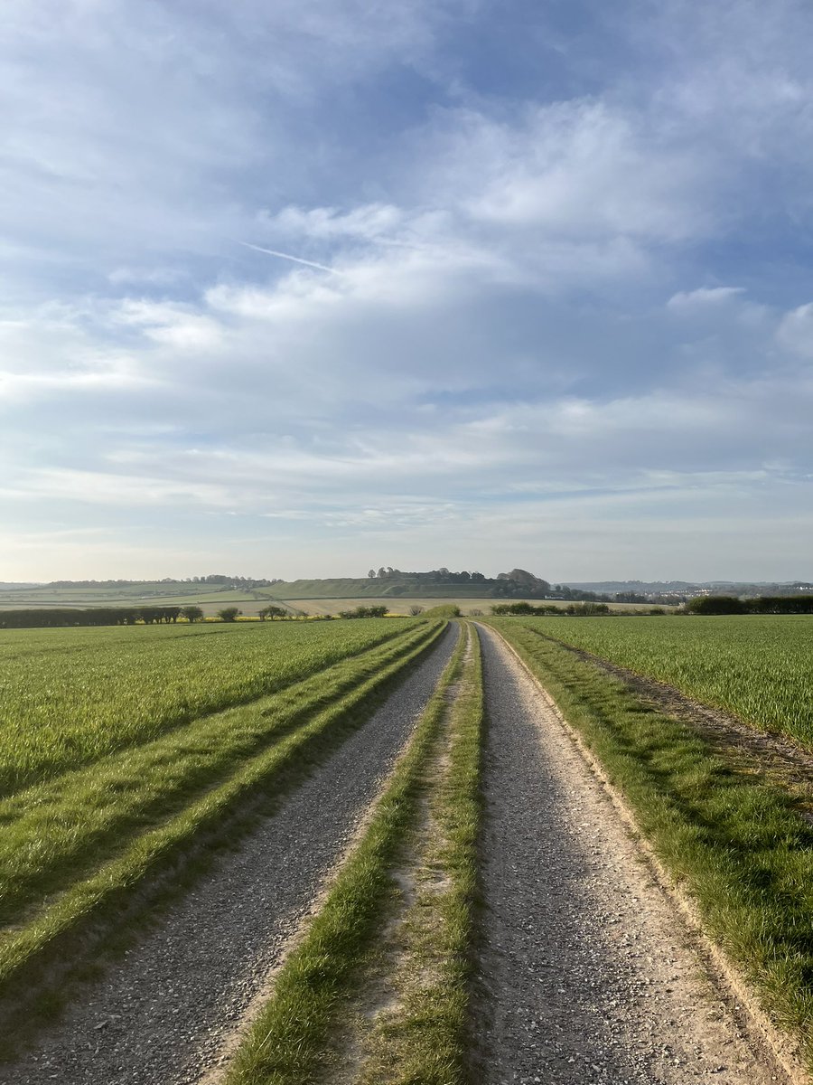 zchard7's tweet image. Gentle recovery run from lurgy, inspired by #Tonks, went to see 🐫 Happy Saturday all xxxx @RunComPod