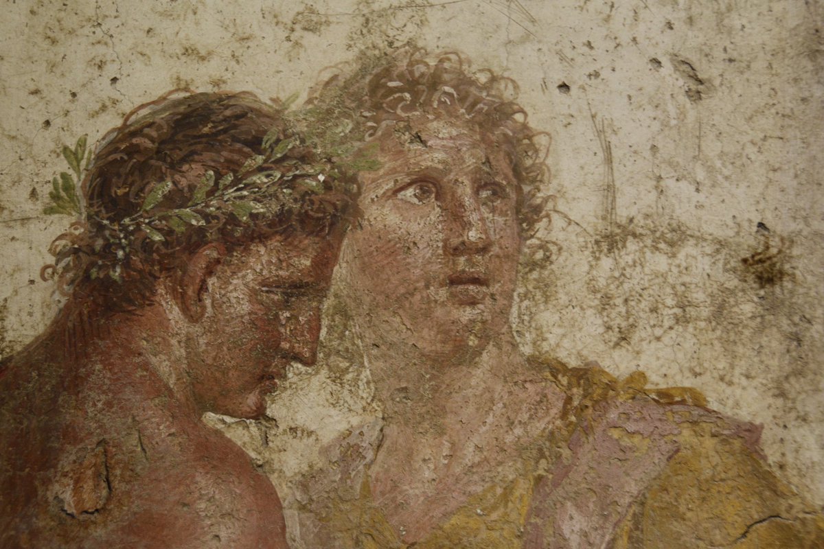 Troie est tombée. Achille et Hector sont morts, Ulysse s'apprête à subir dix années d'errance sur les flots méditerranéens. Mais Agamemnon, lui, s'en retourne triomphant en son palais de Mycènes, les cales de son navire lourdes des richesses d'Ilion. 

Ce qu'il ignore encore,