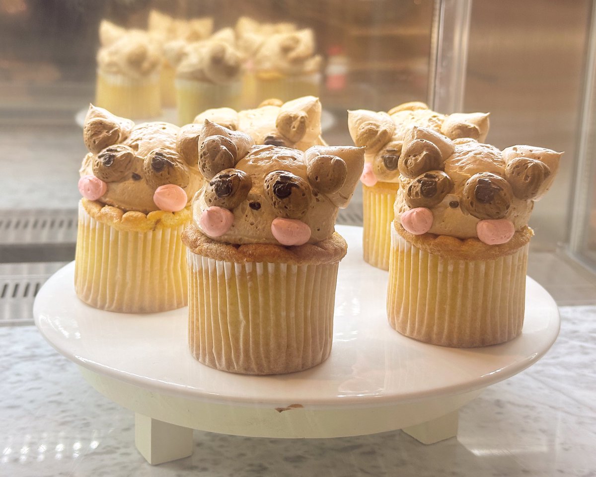 PatisserieLogue's tweet photo. ⋆⁺₊ 2025 SUNWOO BIRTHDAY EVENT ₊⁺⋆
𝐔𝐩 𝐭𝐡𝐞 𝐀𝐧𝐭𝐞 .ᐟ.ᐟ
-
더보이즈 선우 생일 카페 진행 중 입니다🫶🏻
-
#UPTHEANTE
#SWMYLUCKY #더보이즈 #선우 #THEBOYZ
배우 아이돌 2D 생일 카페 생카 전시 https://t.co/2lmB526mFt
