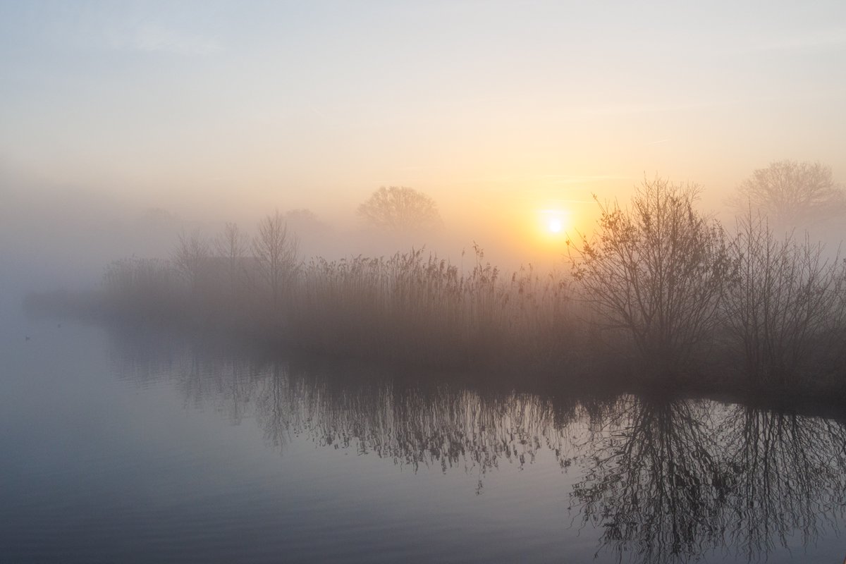 AnnySpoolder's tweet photo. Goedemorgen, het was mistig vanmorgen bij #Dakhorst in #Wierden #natuurgebied #waterbuffer. #sunrise
Fijne dag X-vrienden.โ๏ธโ๏ธ https://t.co/BG3moA4jDM