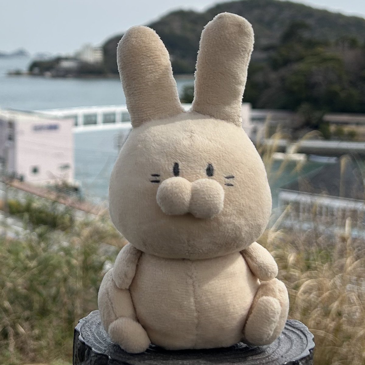 everyday_usa_gi's tweet photo. 【拡散希望】
4/2の19時頃一宮-栄生付近で黒のポーチ入ったうさぎのぬいぐるみを無くしてしまいました。
もし拾われましたらお近くの交番や警察署にお届けお願いします。
目撃情報はDMにてお待ちしております。
#ぬいぐるみ #落とし物 #紛失 #落し物 #ぬい活 #一宮 #愛知県 #うさぎ #名古屋 #拡散希望 https://t.co/PQM81d3Zyf