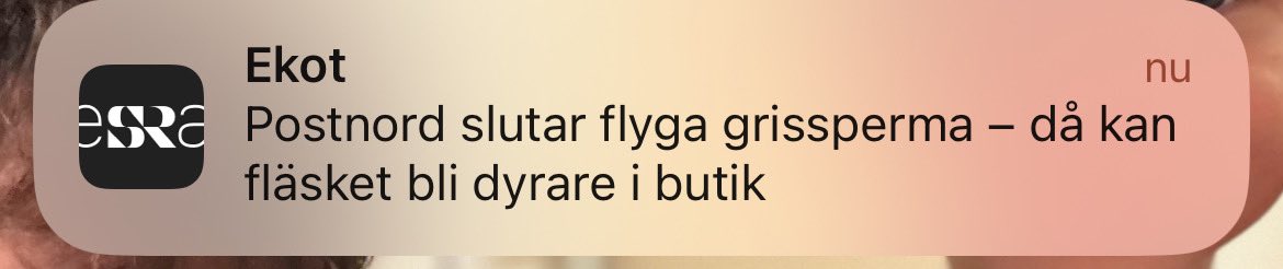 Daniel Hellman Uppström tweet media