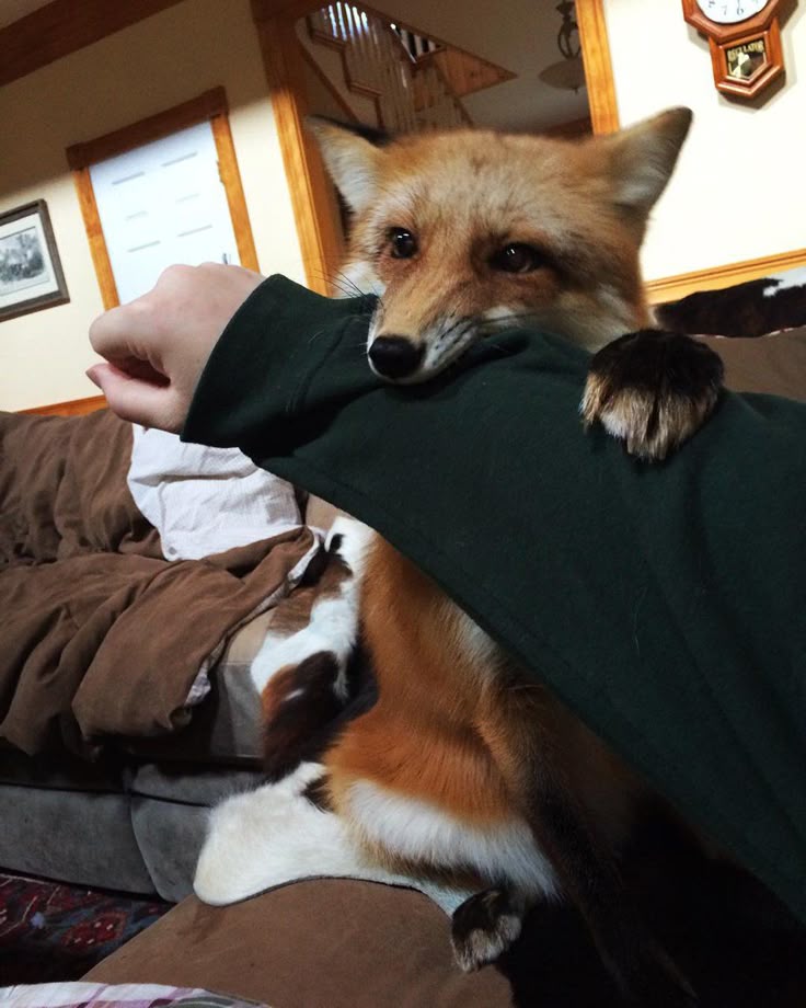 TheYouthVoice_'s tweet image. 