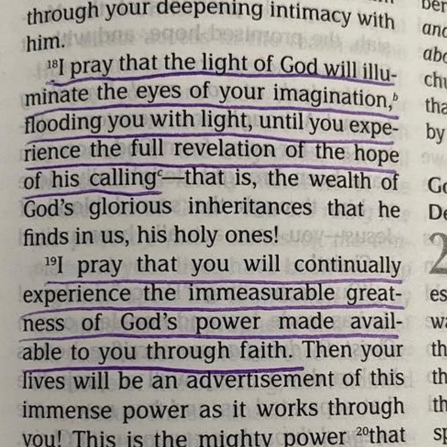 Bible 365 tweet media