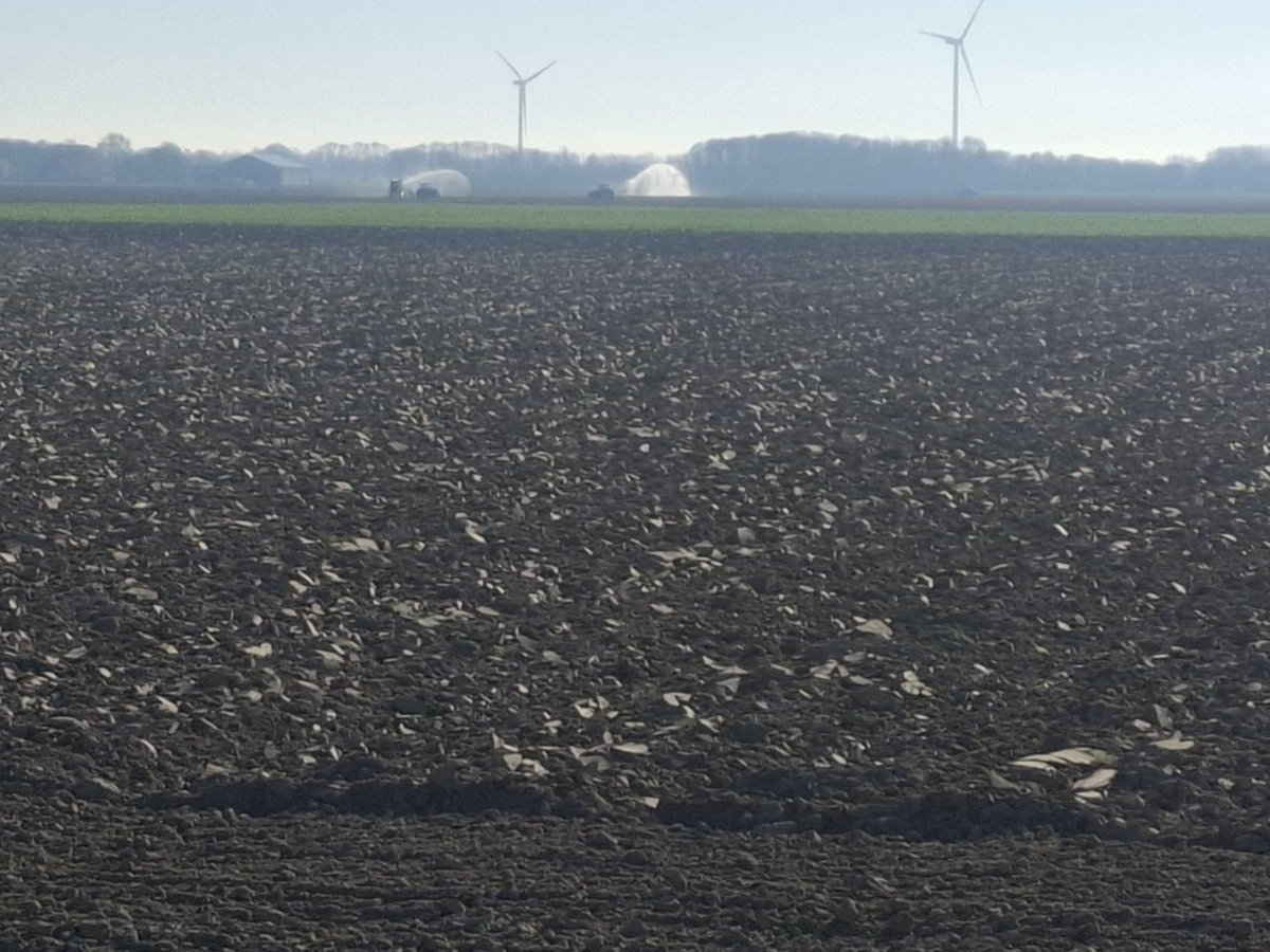 PieterSlootdorp's tweet image. Droog in de polder #HollandsKroon