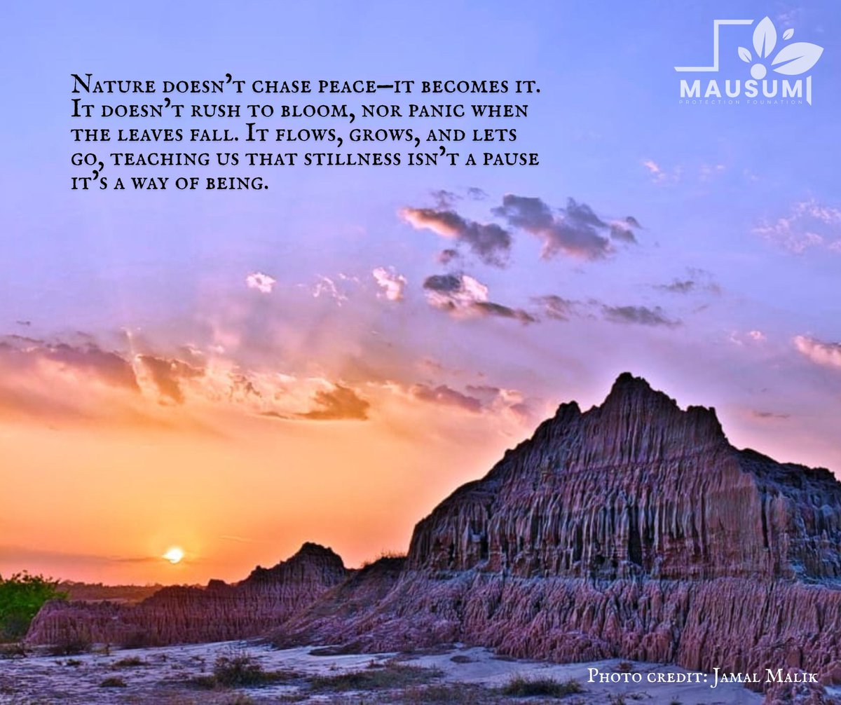 Mausum Mahool Protection Foundation tweet media