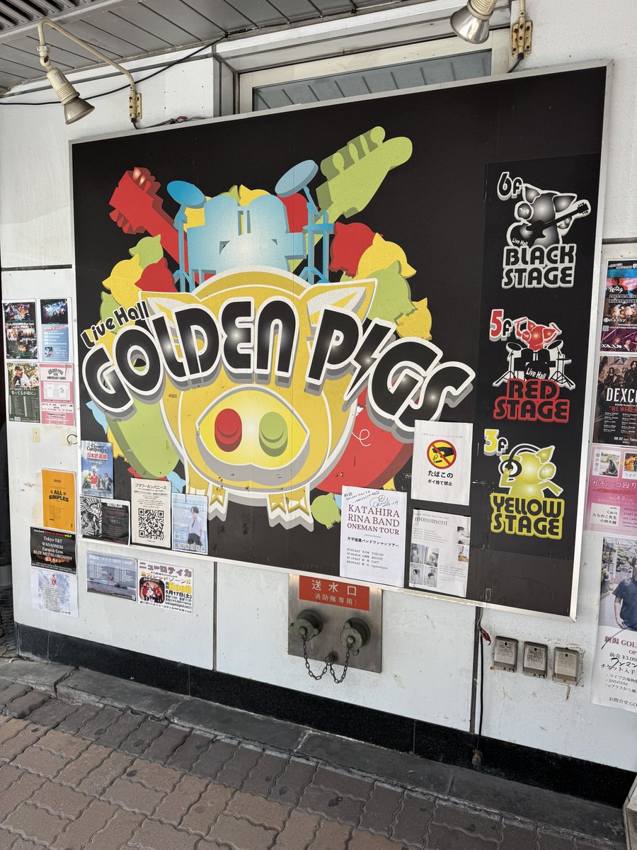 dQlOX24tLUOD5CZ's tweet photo. Today's LIVE‼️
@GoldenPigsRedStage
#TheRavens
#GHOSTNOTESTOUR https://t.co/NkV3qZsqcI