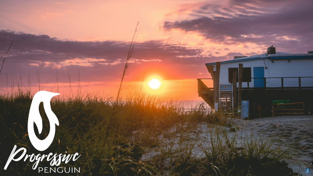 Pretend Penguin / Progressive Penguin tweet media