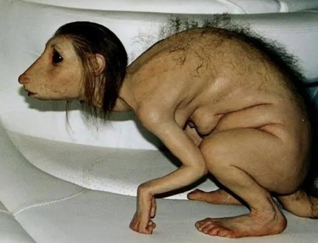 Ortaya şöyle bi şey çıkacak amk