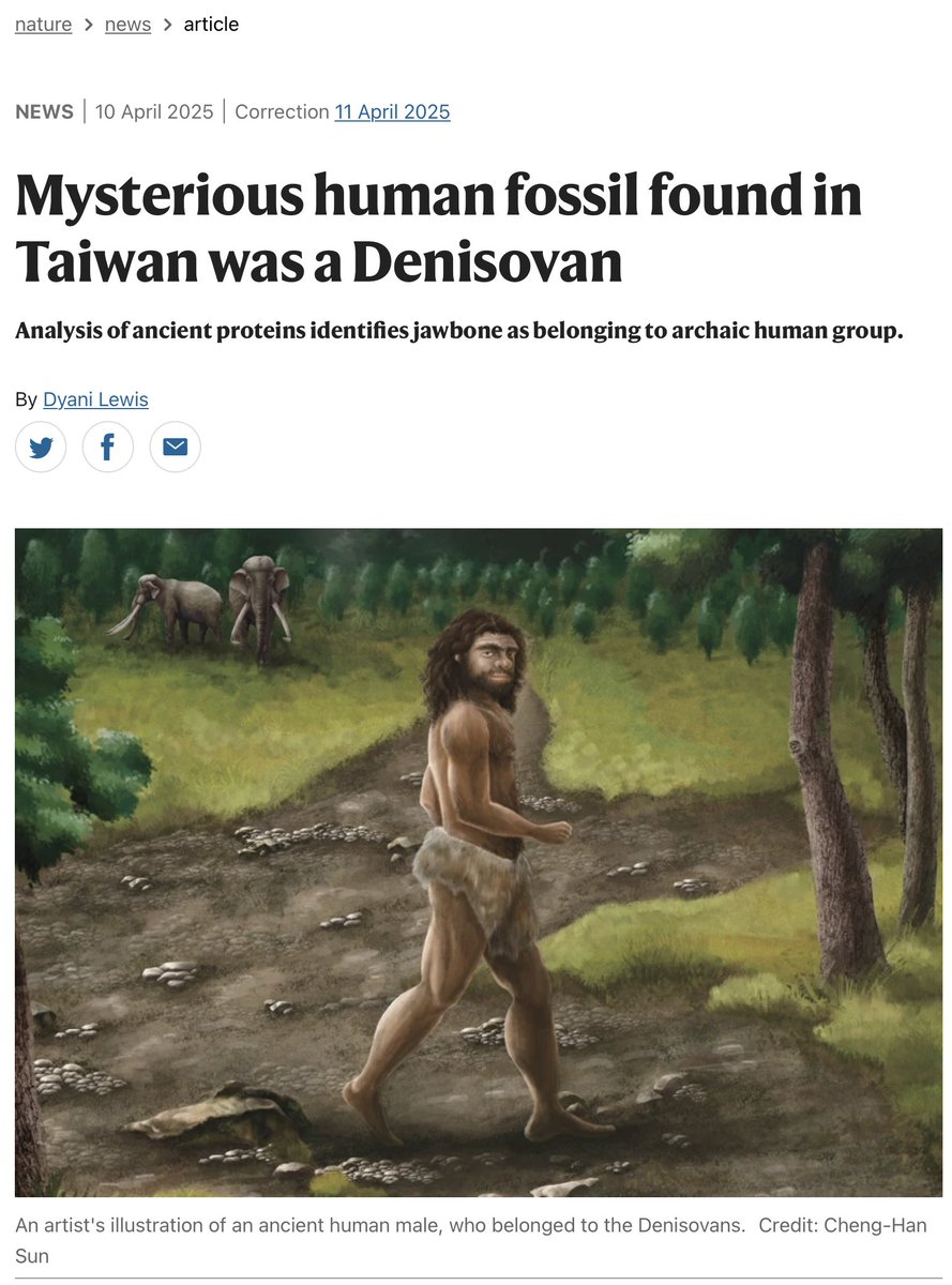 Happy #ScienceSaturday! Yesterday, we published a male Denisovan from Taiwan in Science. Then, very happy to see that Nature is very efficient in introducing our research, and includes Cheng-Han's illustration!