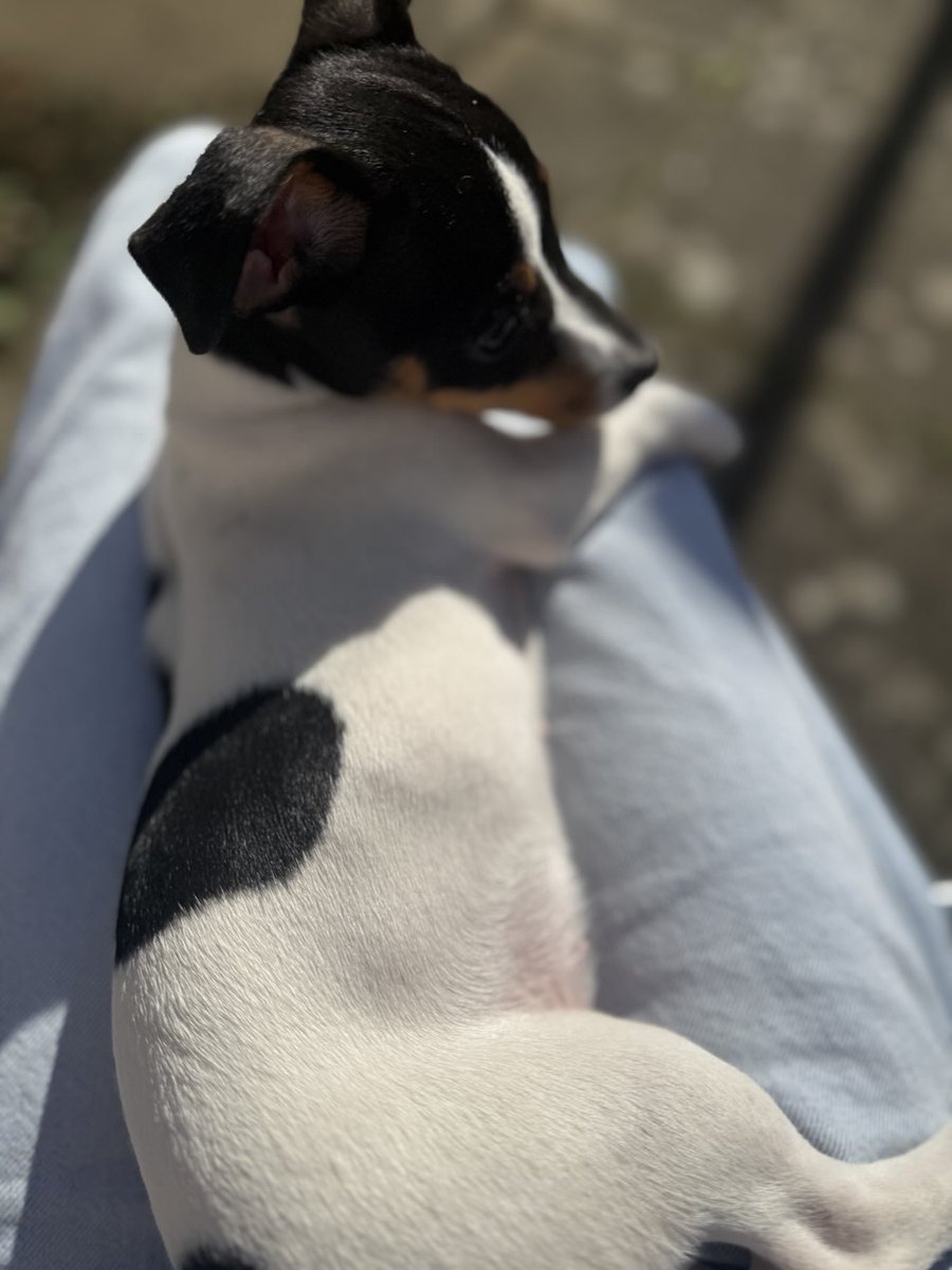 My one true love 🥰