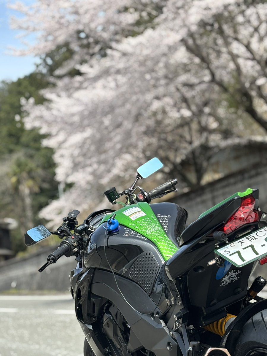 zyoaZ's tweet photo. 同じ場所で8年目のZと桜 https://t.co/AugXrz9Xyu